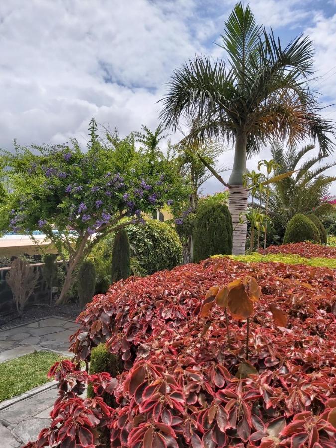 Villa Mi Jardin à Frontera Extérieur photo