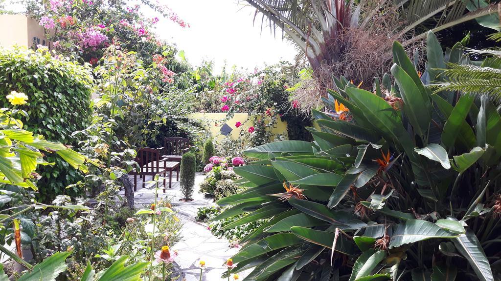 Villa Mi Jardin à Frontera Extérieur photo