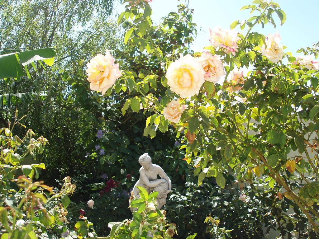 Villa Mi Jardin à Frontera Extérieur photo